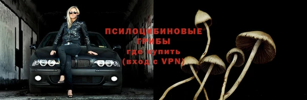 кокс Алзамай