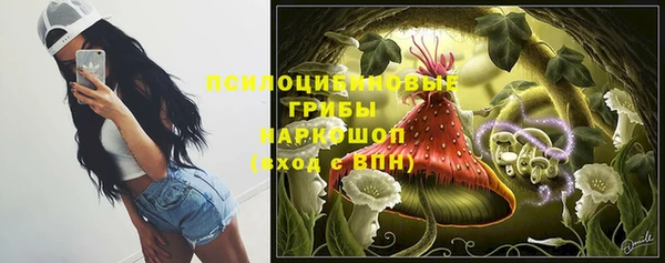шишки Алексеевка