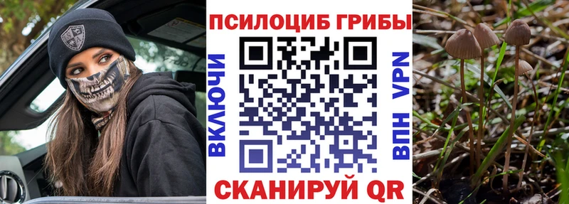 Галлюциногенные грибы Cubensis  Апатиты 
